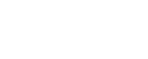 Haydenfilms Institute